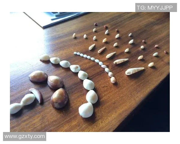 探索贝壳足球卡的魅力与价值，开启你的收藏之旅与球迷互动新体验